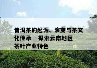 普洱茶的起源、演变与茶文化传承 - 探索云南地区茶叶产业特色