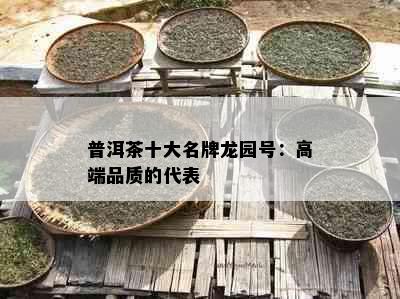 普洱茶十大名牌龙园号：高端品质的代表