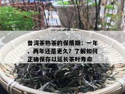 普洱茶熟茶的保质期：一年、两年还是更久？了解如何正确保存以延长茶叶寿命