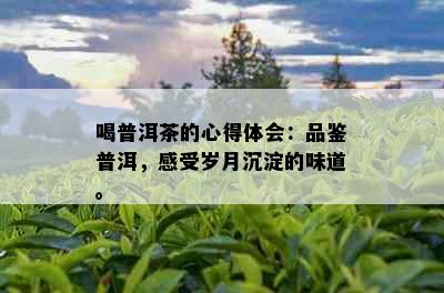 喝普洱茶的心得体会：品鉴普洱，感受岁月沉淀的味道。