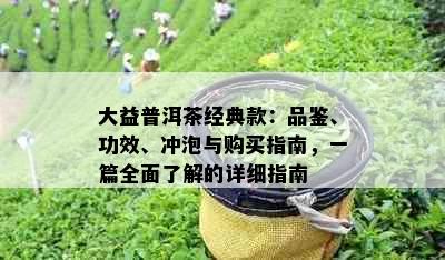 大益普洱茶经典款：品鉴、功效、冲泡与购买指南，一篇全面了解的详细指南