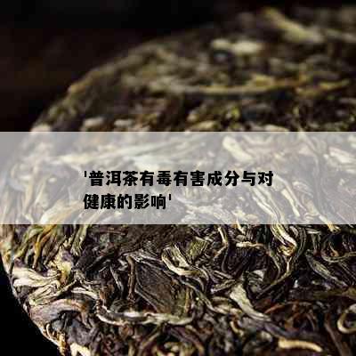 '普洱茶有有害成分与对健康的影响'