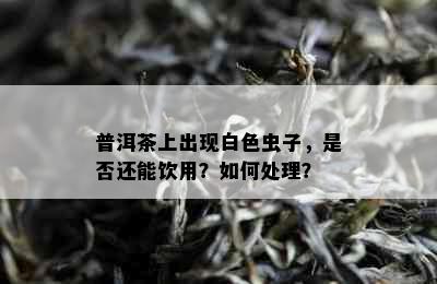 普洱茶上出现白色虫子，是否还能饮用？如何处理？