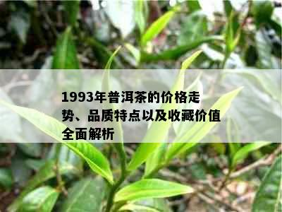 1993年普洱茶的价格走势、品质特点以及收藏价值全面解析