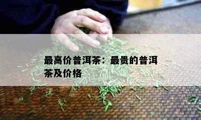 更高价普洱茶：最贵的普洱茶及价格