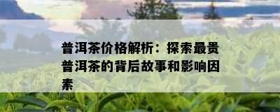 普洱茶价格解析：探索最贵普洱茶的背后故事和影响因素