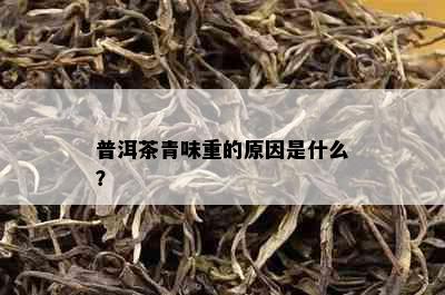 普洱茶青味重的原因是什么？