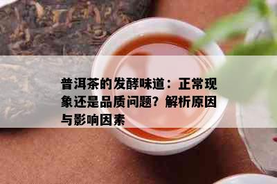 普洱茶的发酵味道：正常现象还是品质问题？解析原因与影响因素