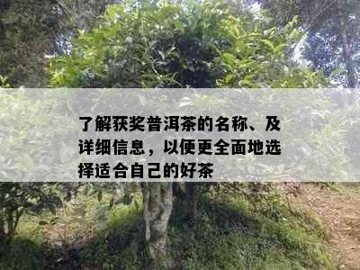 了解获奖普洱茶的名称、及详细信息，以便更全面地选择适合自己的好茶