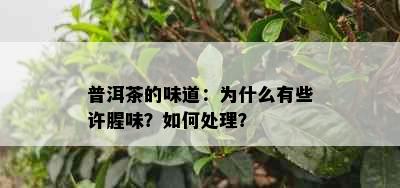 普洱茶的味道：为什么有些许腥味？如何处理？