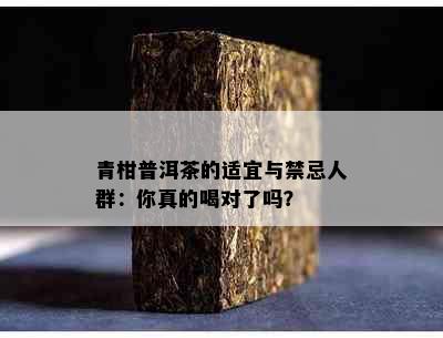 青柑普洱茶的适宜与禁忌人群：你真的喝对了吗？