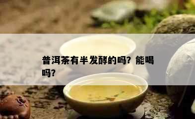 普洱茶有半发酵的吗？能喝吗？