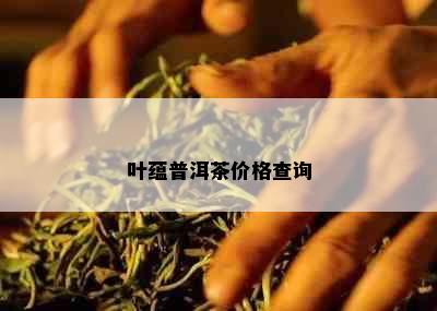 叶蕴普洱茶价格查询