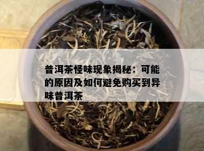 普洱茶怪味现象揭秘：可能的原因及如何避免购买到异味普洱茶