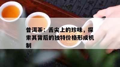 普洱茶：舌尖上的珍味，探索其背后的独特价格形成机制