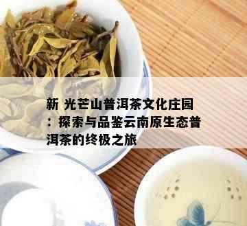 新 光芒山普洱茶文化庄园：探索与品鉴云南原生态普洱茶的终极之旅