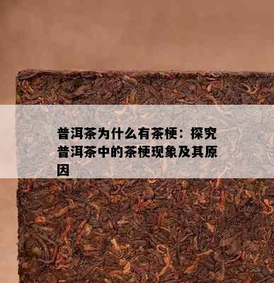 普洱茶为什么有茶梗：探究普洱茶中的茶梗现象及其原因