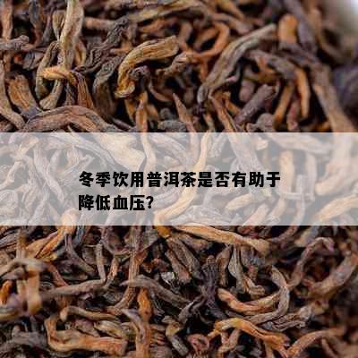 冬季饮用普洱茶是否有助于降低血压？