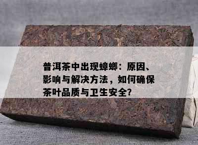 普洱茶中出现蟑螂：原因、影响与解决方法，如何确保茶叶品质与卫生安全？