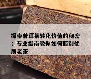 探索普洱茶转化价值的秘密：专业指南教你如何甄别优质老茶