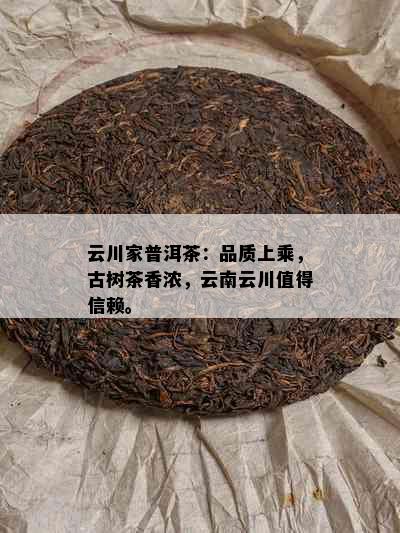 云川家普洱茶：品质上乘，古树茶香浓，云南云川值得信赖。