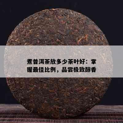 煮普洱茶放多少茶叶好：掌握更佳比例，品尝极致醇香