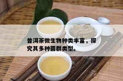 普洱茶微生物种类丰富，探究其多种菌群类型。