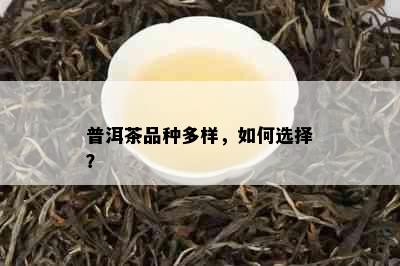 普洱茶品种多样，如何选择？