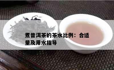 煮普洱茶的茶水比例：合适量及用水指导