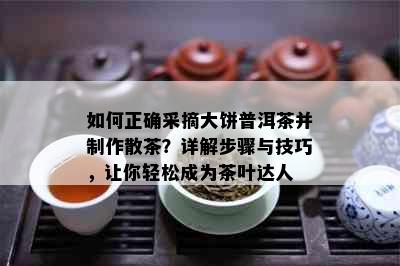 如何正确采摘大饼普洱茶并制作散茶？详解步骤与技巧，让你轻松成为茶叶达人