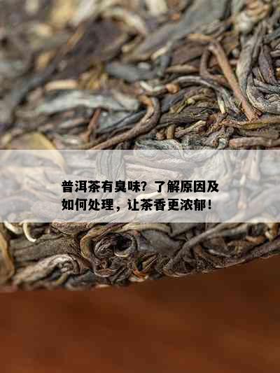 普洱茶有臭味？了解原因及如何处理，让茶香更浓郁！