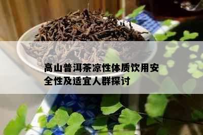 高山普洱茶凉性体质饮用安全性及适宜人群探讨