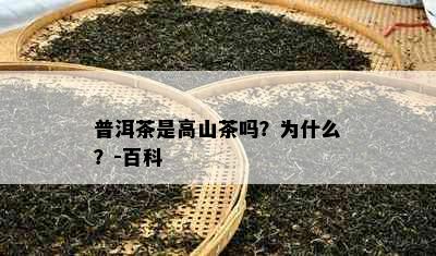 普洱茶是高山茶吗？为什么？-百科