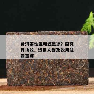 普洱茶性温和还是凉？探究其功效、适用人群及饮用注意事项