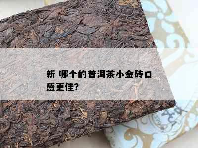 新 哪个的普洱茶小金砖口感更佳？