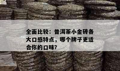 全面比较：普洱茶小金砖各大口感特点，哪个牌子更适合你的口味？