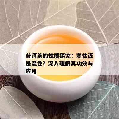 普洱茶的性质探究：寒性还是温性？深入理解其功效与应用