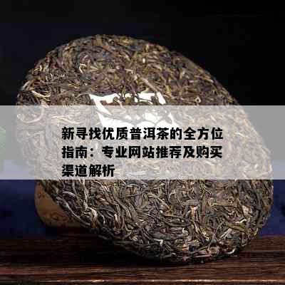 新寻找优质普洱茶的全方位指南：专业网站推荐及购买渠道解析