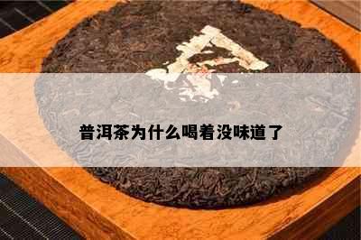 普洱茶为什么喝着没味道了