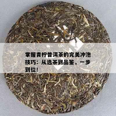 掌握青柠普洱茶的完美冲泡技巧：从选茶到品鉴，一步到位！