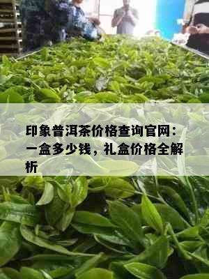 印象普洱茶价格查询官网：一盒多少钱，礼盒价格全解析