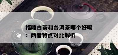 福鼎白茶和普洱茶哪个好喝：两者特点对比解析