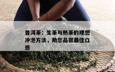 普洱茶：生茶与熟茶的理想冲泡方法，助您品尝更佳口感