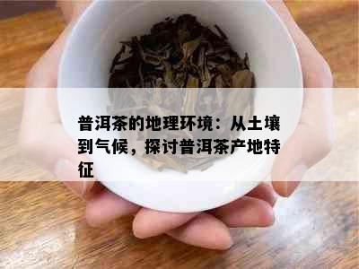 普洱茶的地理环境：从土壤到气候，探讨普洱茶产地特征