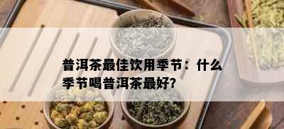 普洱茶更佳饮用季节：什么季节喝普洱茶更好？