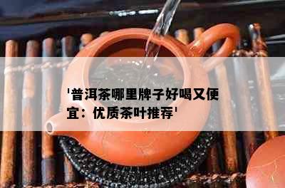 '普洱茶哪里牌子好喝又便宜：优质茶叶推荐'