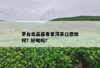 茅台出品酱香普洱茶口感如何？好喝吗？