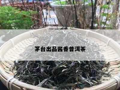 茅台出品酱香普洱茶