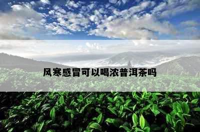 风寒感冒可以喝浓普洱茶吗