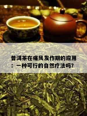 普洱茶在痛风发作期的应用：一种可行的自然疗法吗？